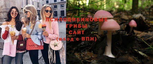 метадон Белокуриха