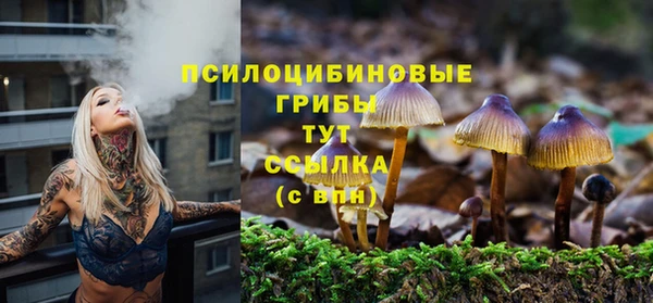 прущая мука Белоозёрский